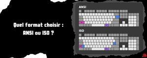 Which format to choose: ANSI or ISO?