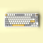 AJAZZ custom tkl keyboard
